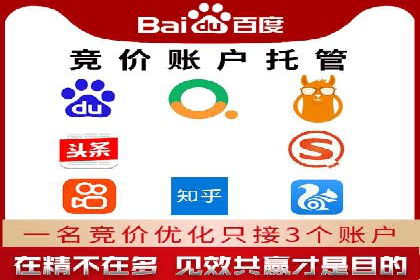 百度竞价广告投放的ROI优化：经典案例分享